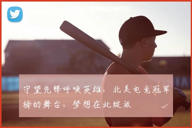 守望先锋呼唤英雄,北美电竞冠军榜的舞台,梦想在此绽放