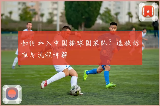 如何加入中国排球国家队?选拔标准与流程详解
